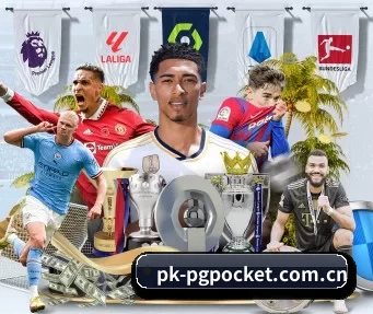 pk-pgpocket.com.cn APP